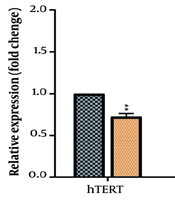 J Microbiota